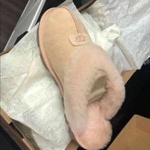 Brand New Ugg Slippers